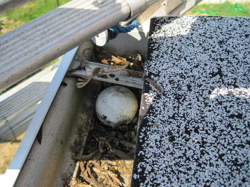 clogged gutters San Antonio