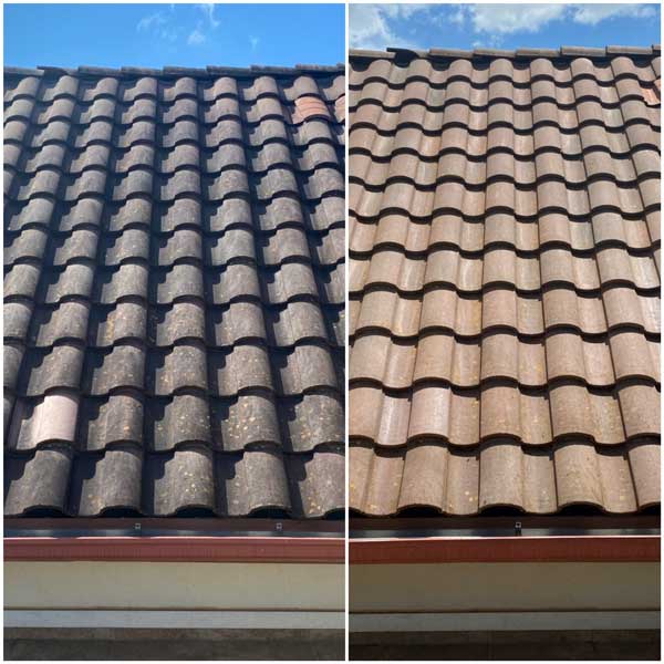 Tile Roof Cleaning